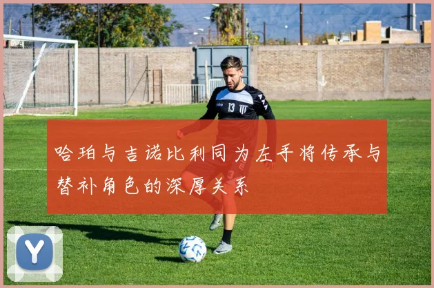哈珀与吉诺比利同为左手将传承与替补角色的深厚关系