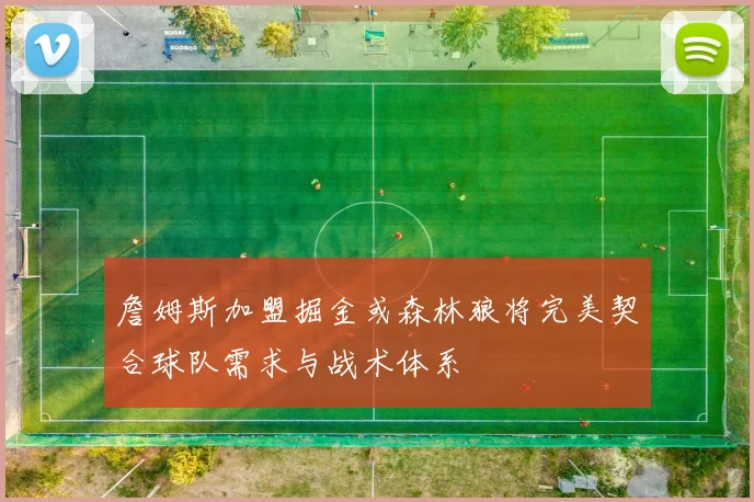 詹姆斯加盟掘金或森林狼将完美契合球队需求与战术体系
