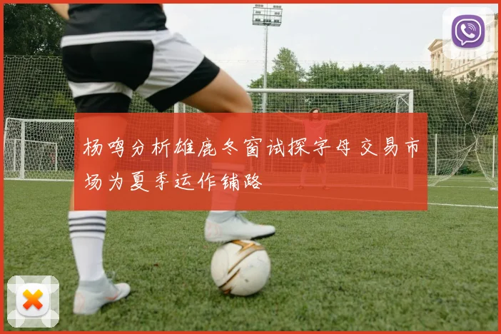 杨鸣分析雄鹿冬窗试探字母交易市场为夏季运作铺路